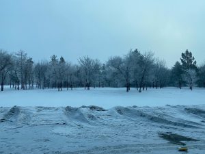 прогноз на февраль