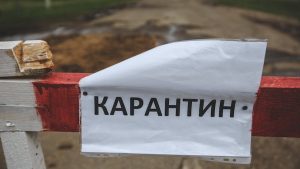 карантин по бешенству