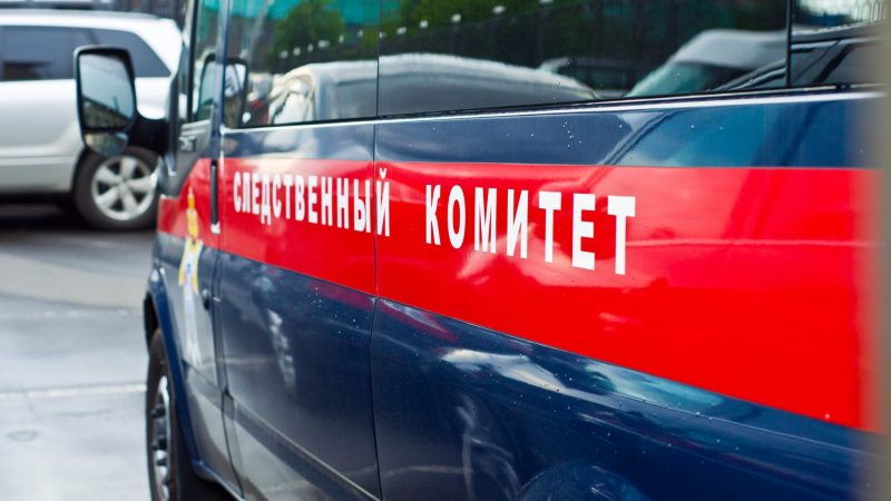 избиение школьницы