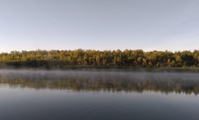 Оренбург Медиа — новости Оренбурга и области