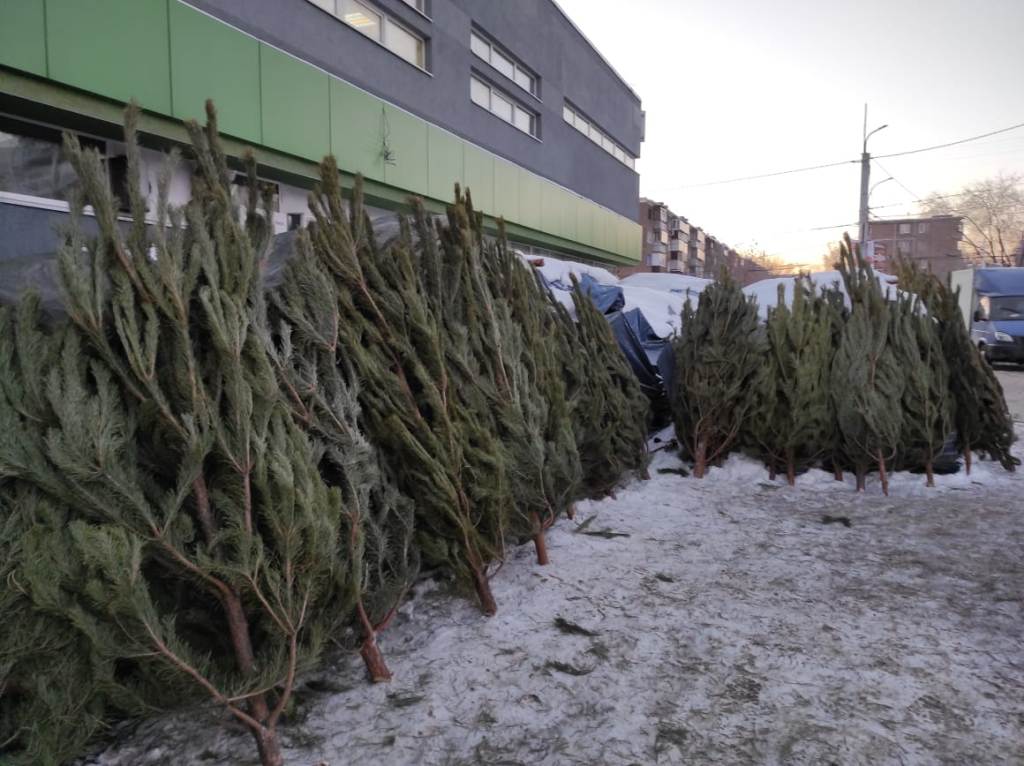 елочный базар