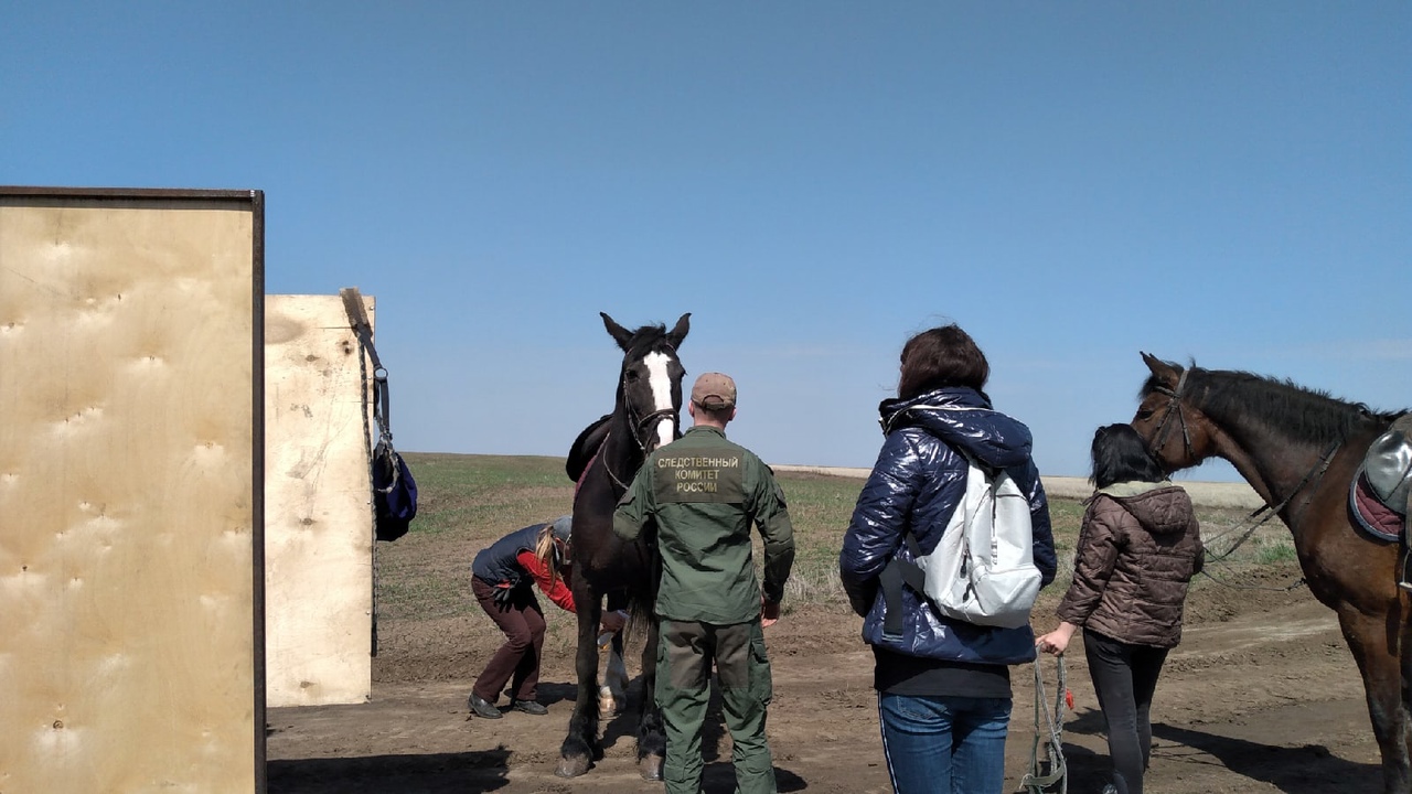 Под оренбургом фото На лошадях и пешком. Под Оренбургом прошли поиски Вячеслава Курапова