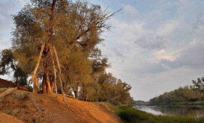 Оренбург Медиа — новости Оренбурга и области