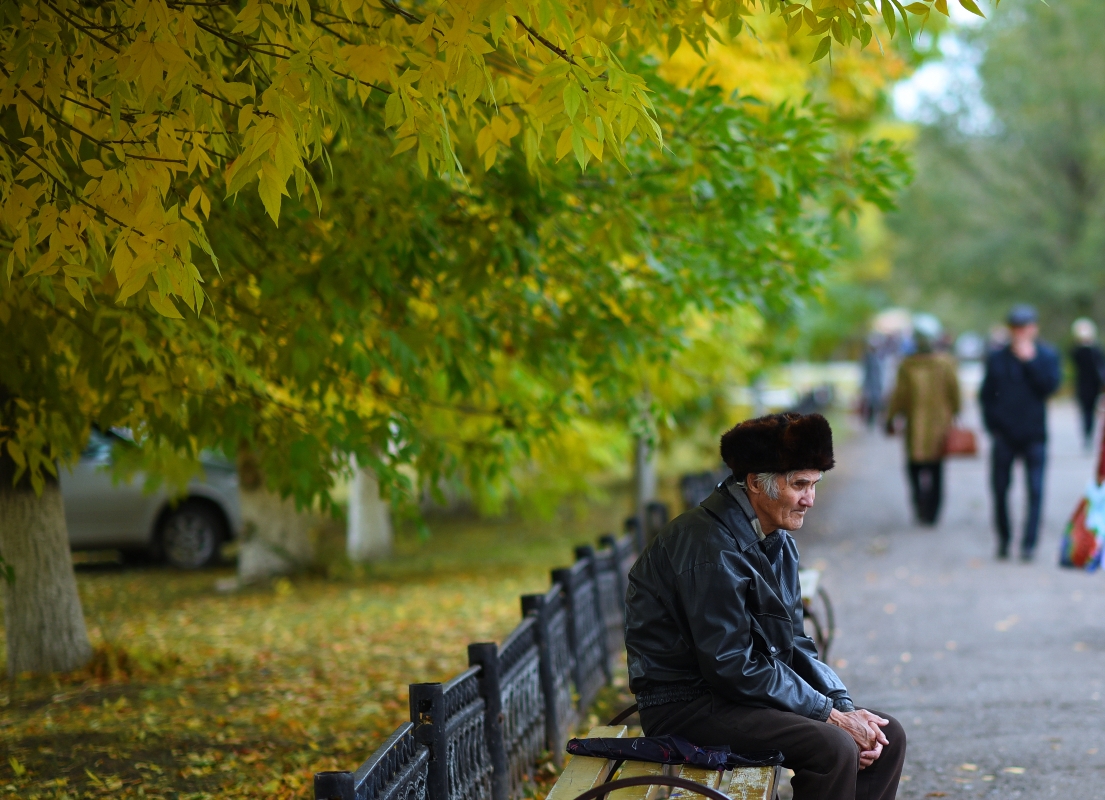 Осень дышит в спину