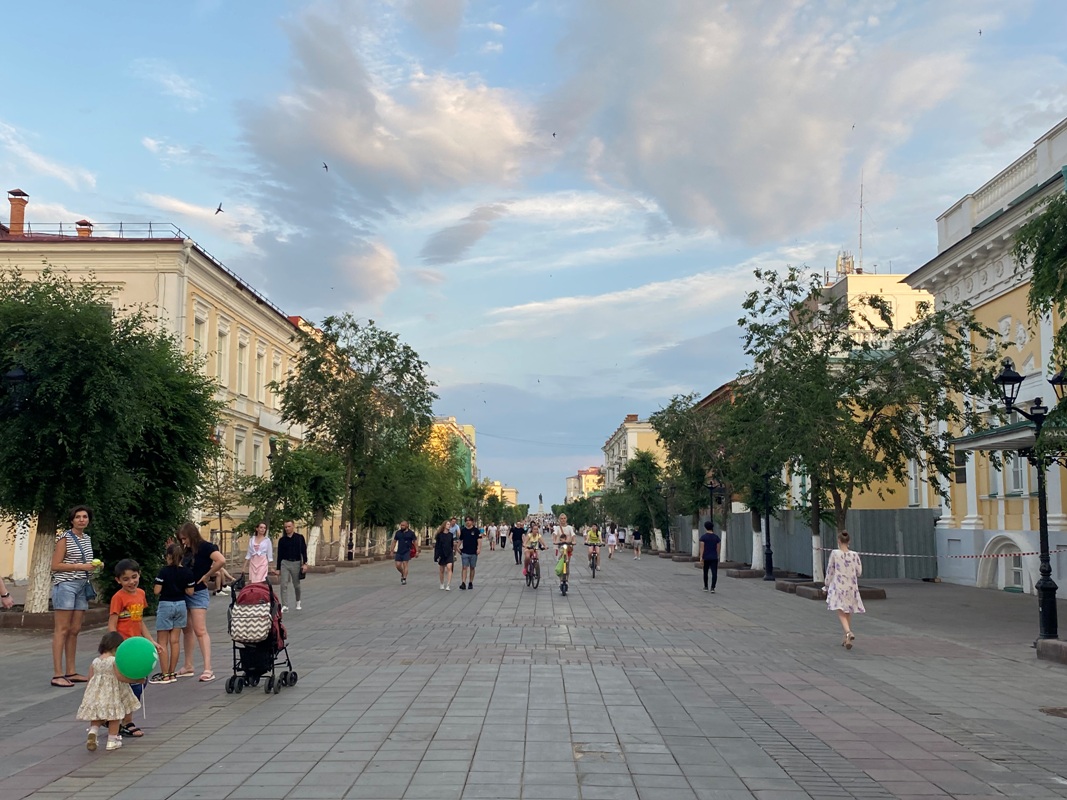 В центре Оренбурга злоумышленники испортили два тополя