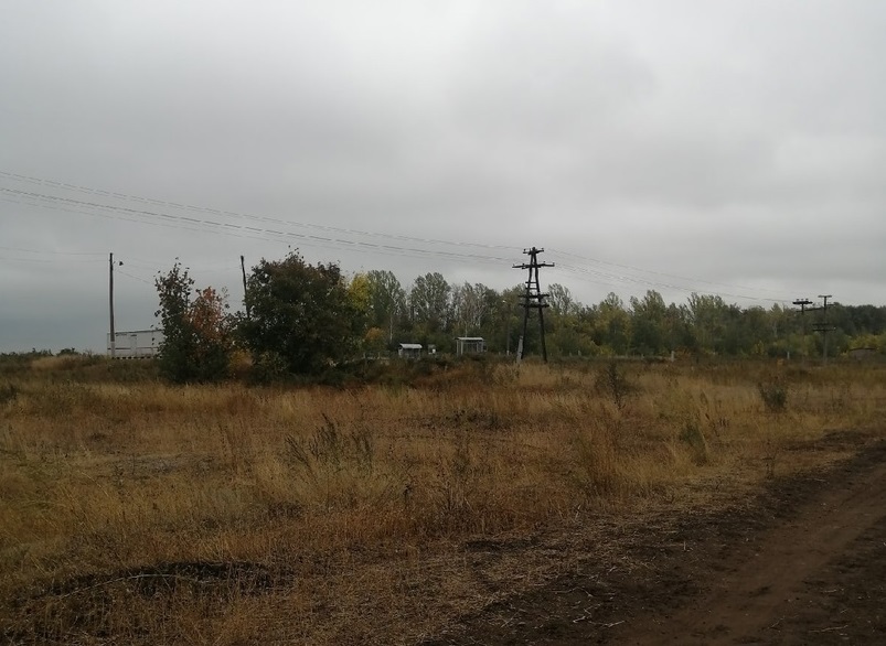 Погода оренбургская область тоцкое поселок суворовский. Село весь.