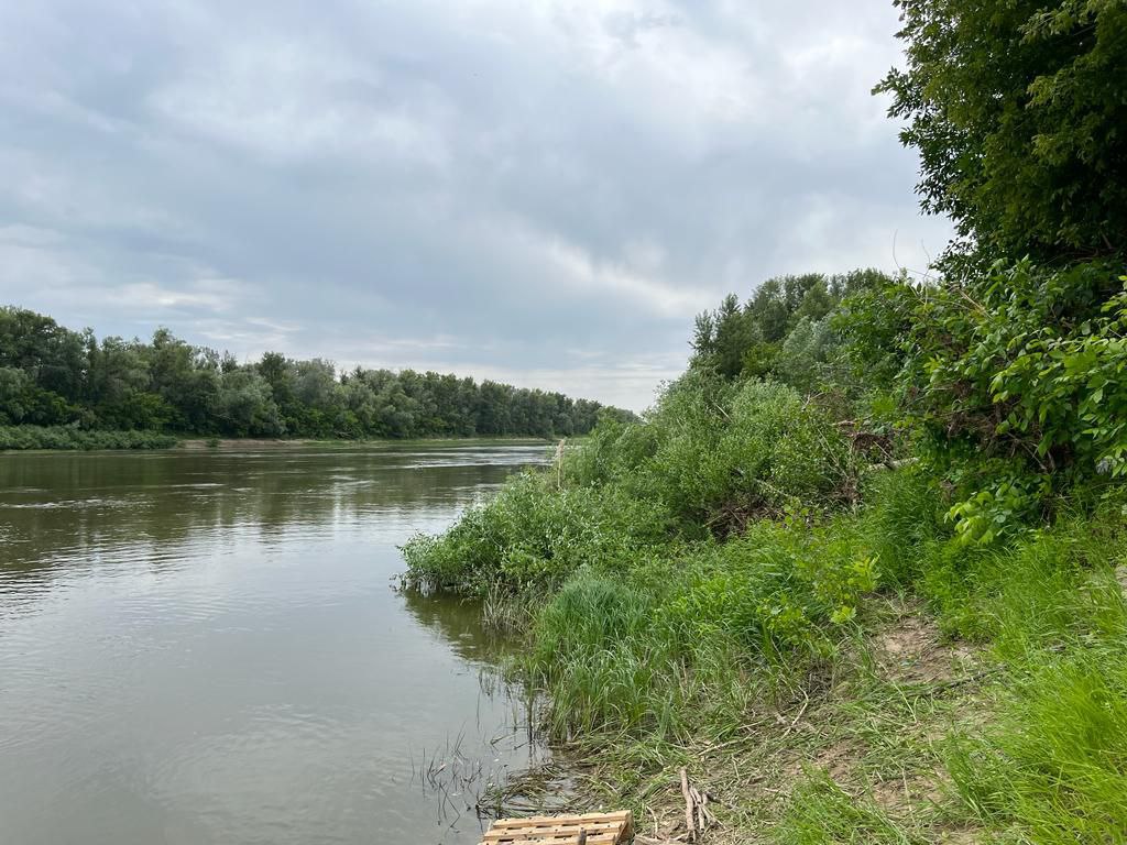 Река Урал Фото В Оренбургской Области