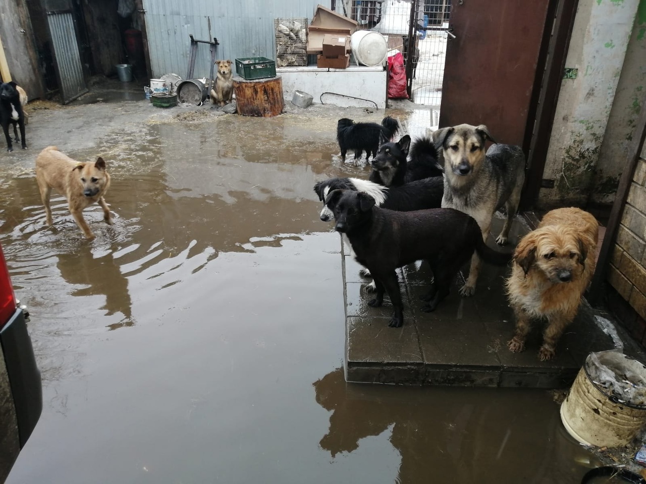 В Оренбурге затопило приют 