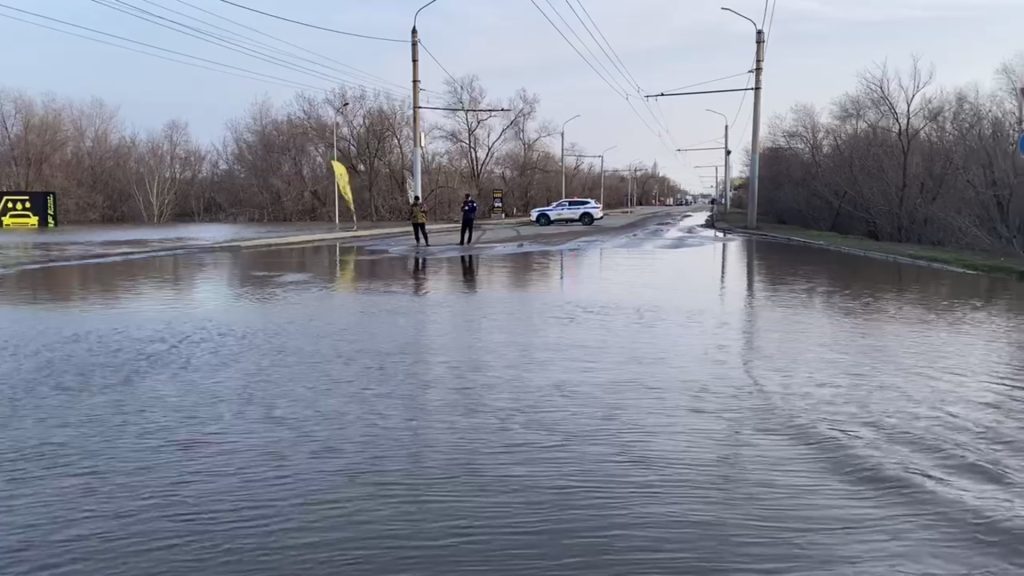 донгузская