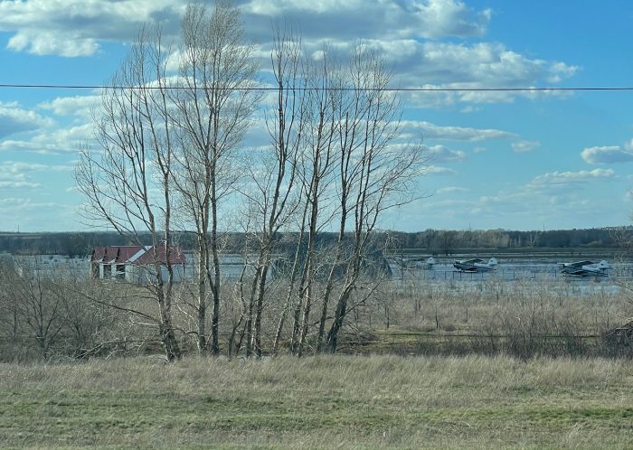 сакмара за кушкулями