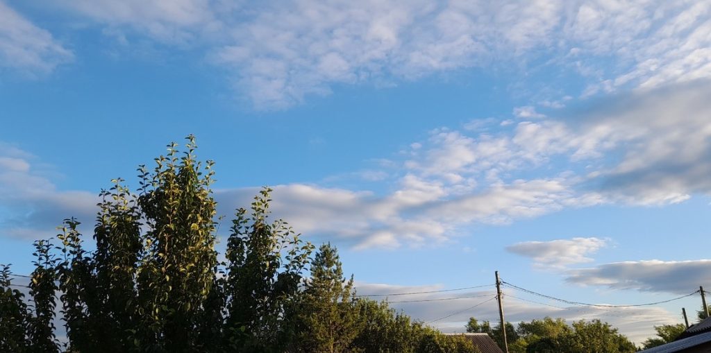 Погода в Оренбурге 18 мая