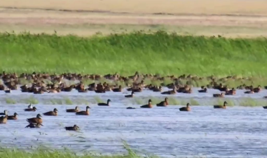 погода в Оренбурге 26 мая
