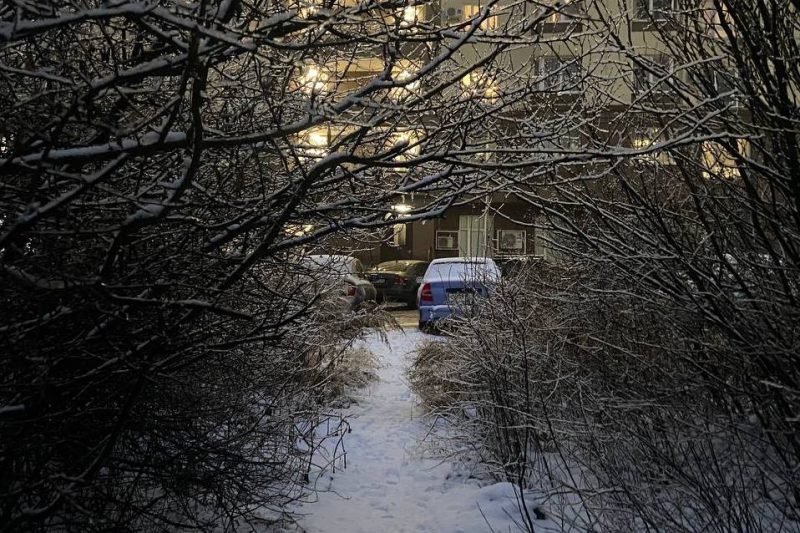 погода в Оренбурге 11 января