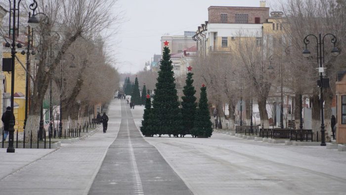 новогодние елки Оренбург