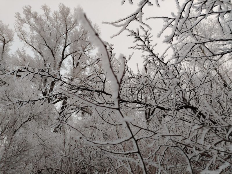 погода в Оренбурге 20 и 21 декабря