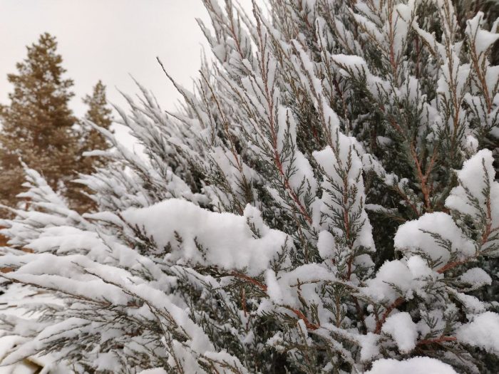 погода в оренбурге снег заморозки