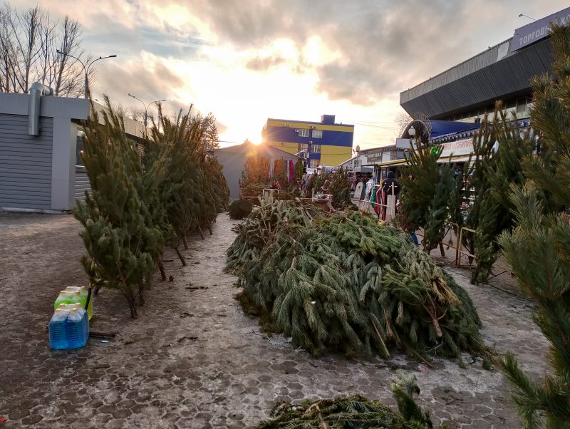 елочные базары