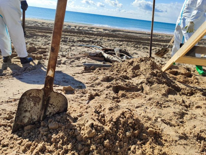 анапа волонтеры