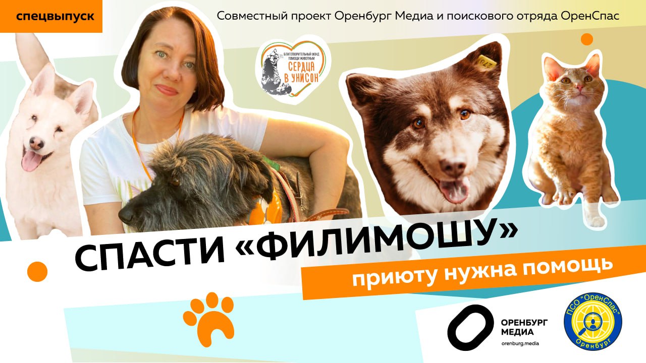 Найти живым. Спасти Филимошу