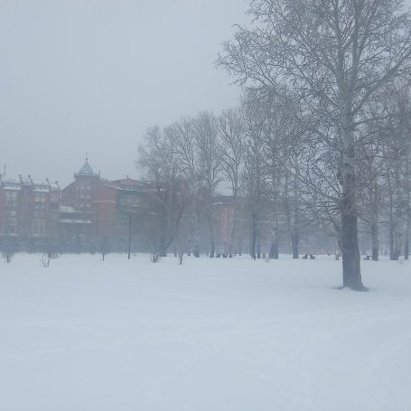Оренбург Медиа — новости Оренбурга и области