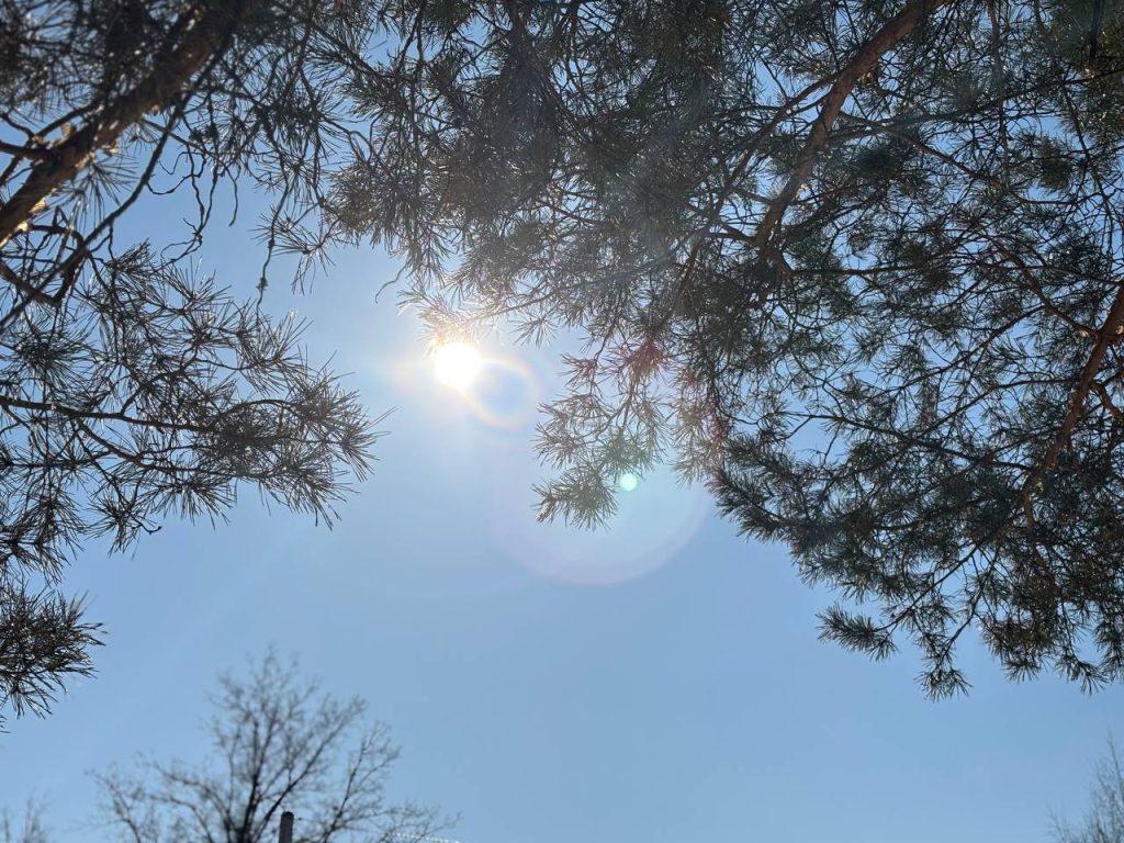 погода в Оренбурге