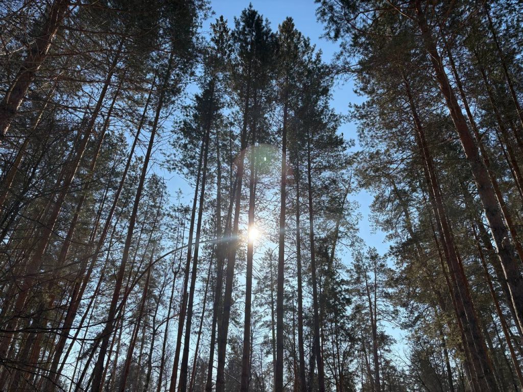 календарная зима