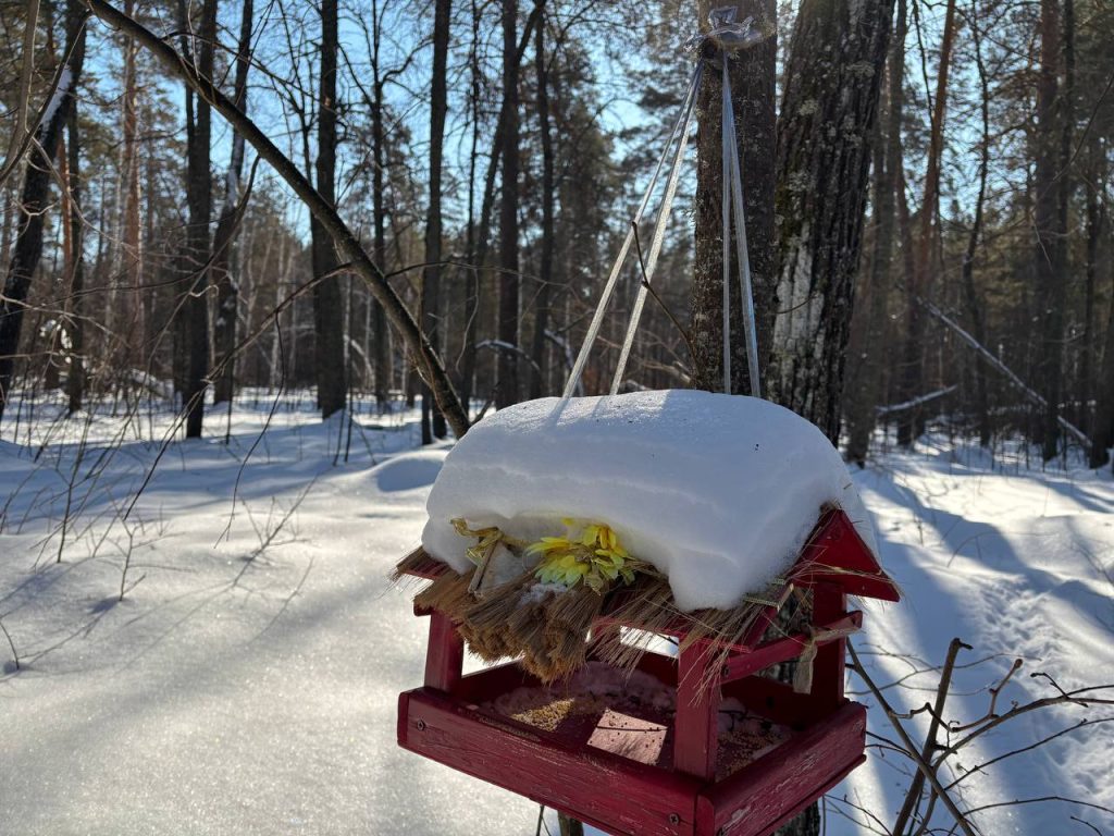 Погода 17 января