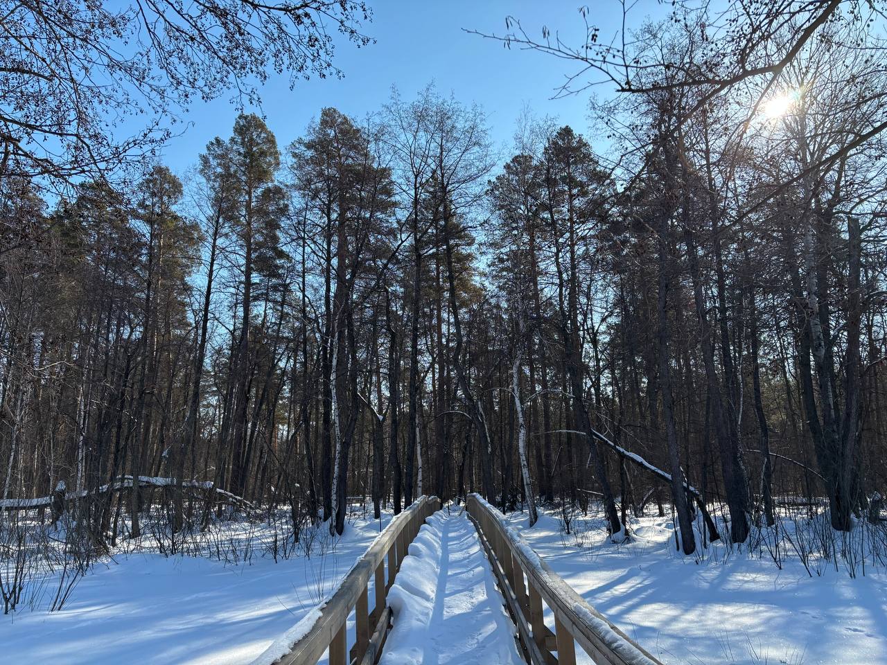 погода в Оренбуржье