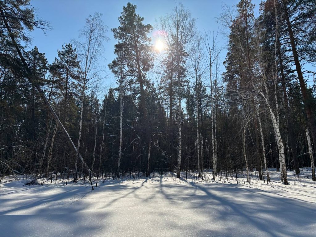 погода в Оренбурге