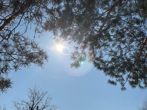 погода в Оренбурге