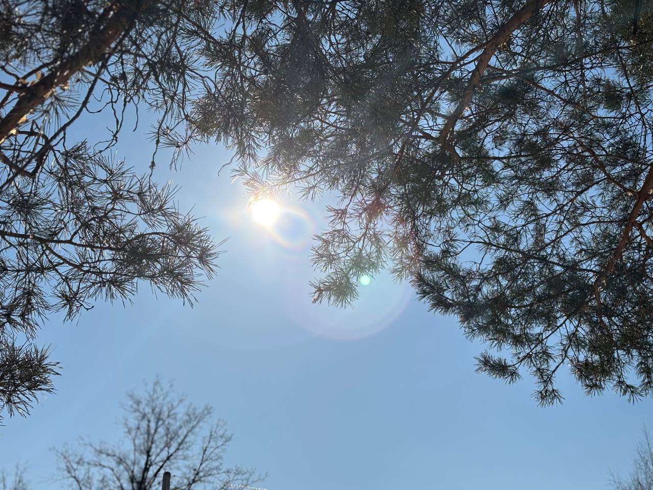 погода в Оренбурге