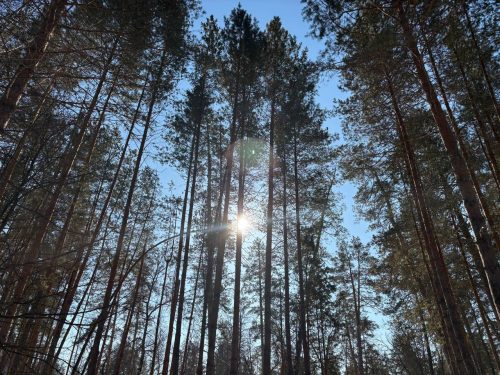 календарная зима