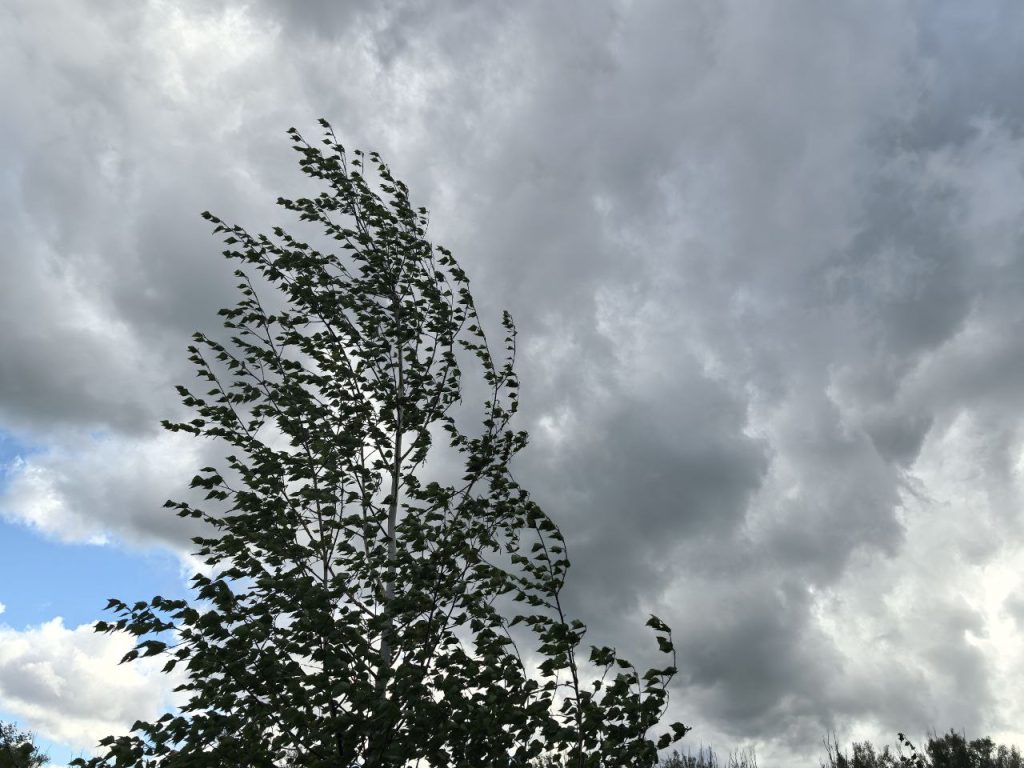 погода в Оренбурге ветер штормовое предупреждение