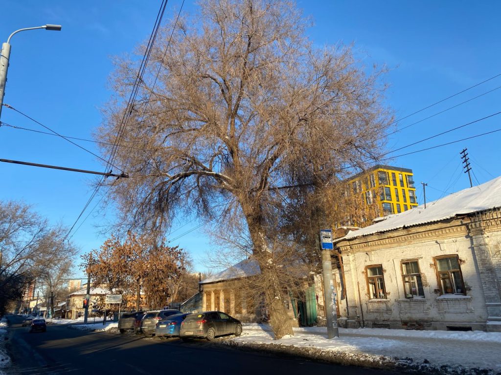 троллейбусные провода