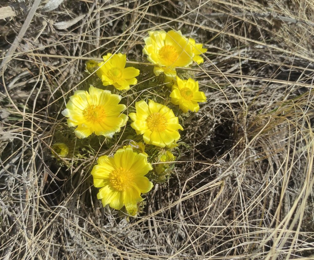 аномально теплый апрель