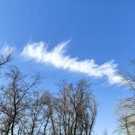 Оренбург Медиа — новости Оренбурга и области