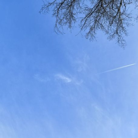 Оренбург Медиа — новости Оренбурга и области