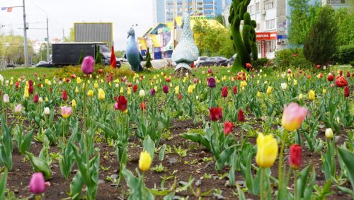 Погода в Оренбурге на 18 апреля