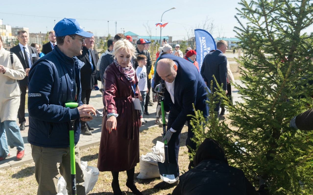 чирков солнцев в гае2