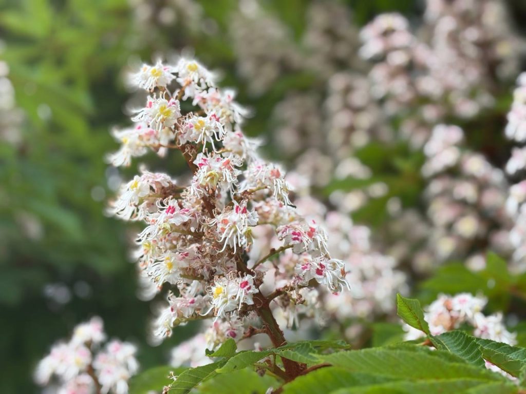 погода в Оренбурге 23 мая