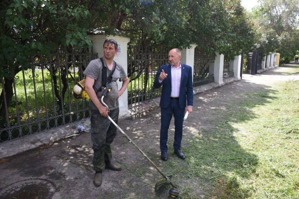 в поисках сорной травы объедков