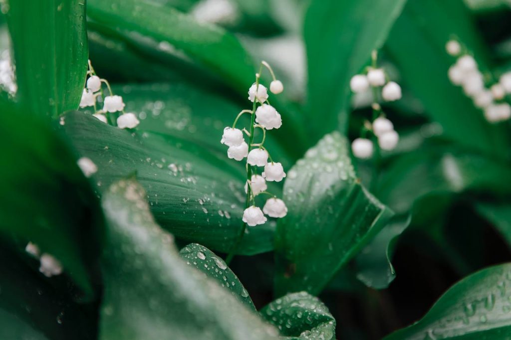 погода в Оренбурге 21 мая