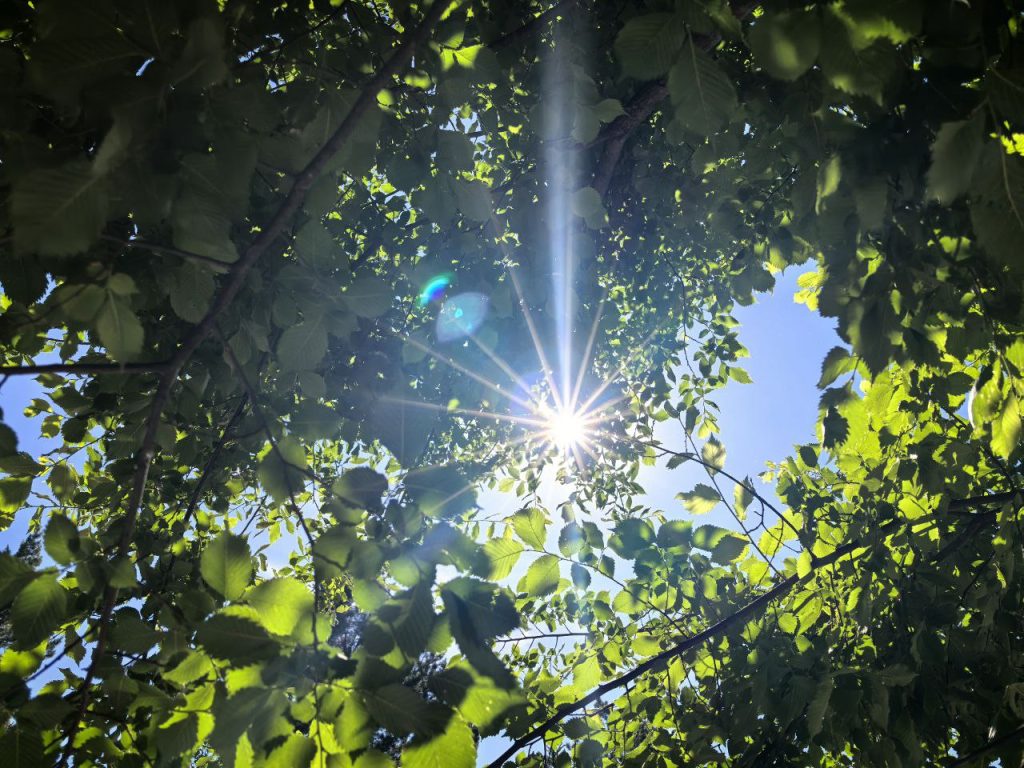 жара в Оренбурге