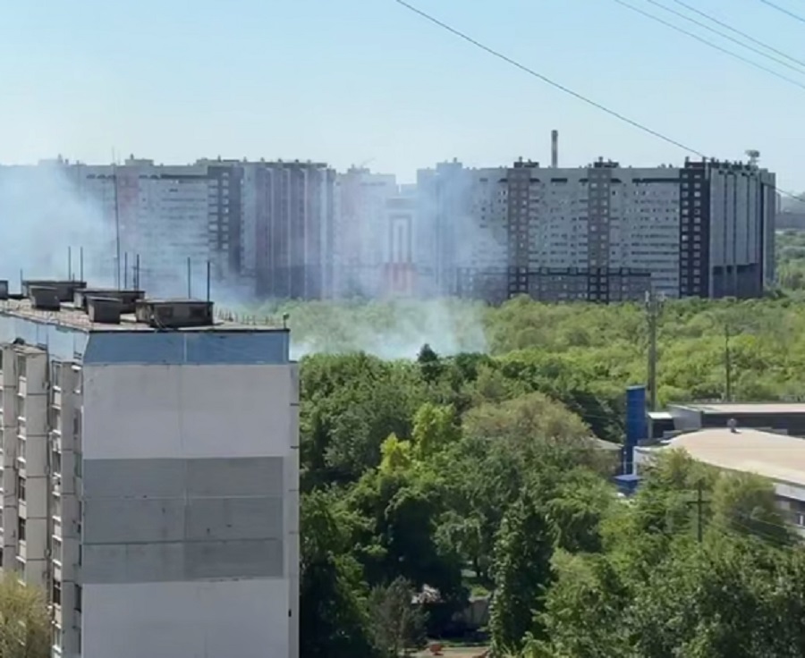 пожар в лесопарке Березка