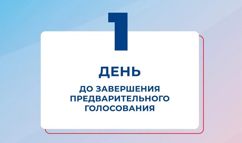 предварительное голосование4