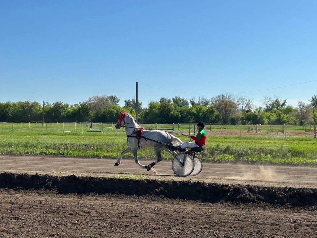 скачки в Оренбурге