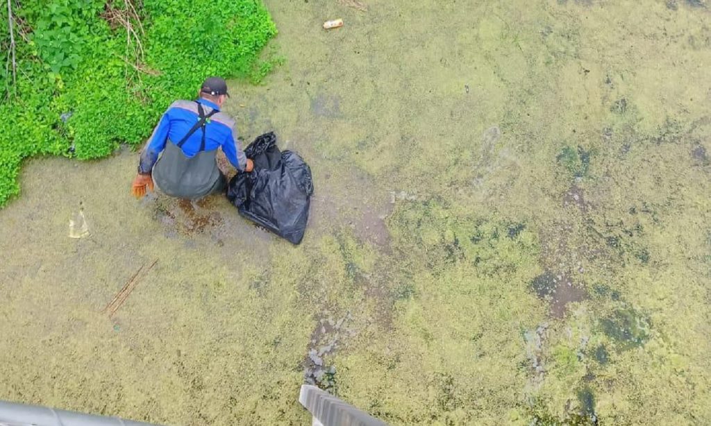 тропа здоровья