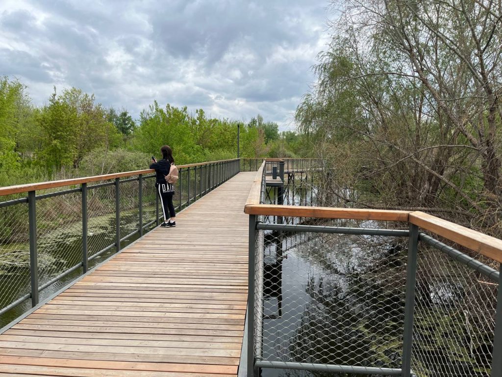 тропа здоровья