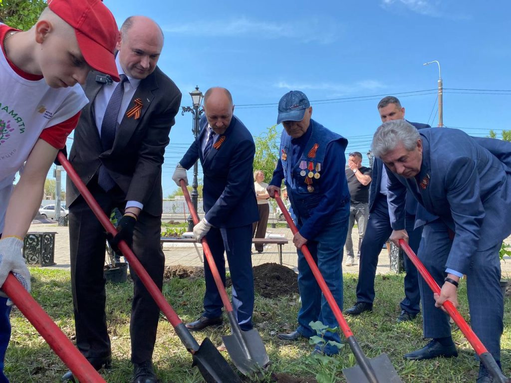 Тополь Победы