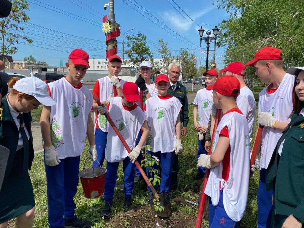 Тополь Победы